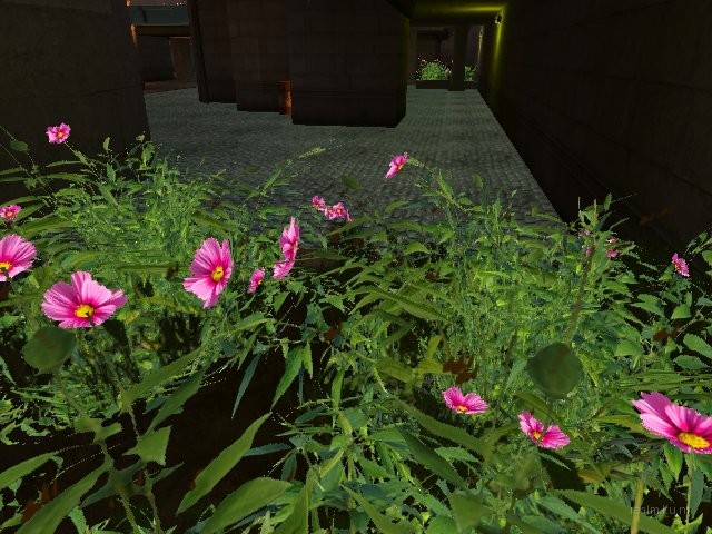 dm_sundown_bcc_b1 thumb 19
