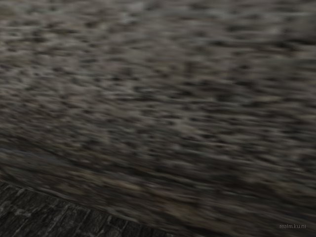 dm_swally_oasis_final thumb 8