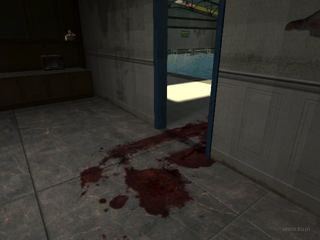 dm_swimming_pool_bm thumb 23