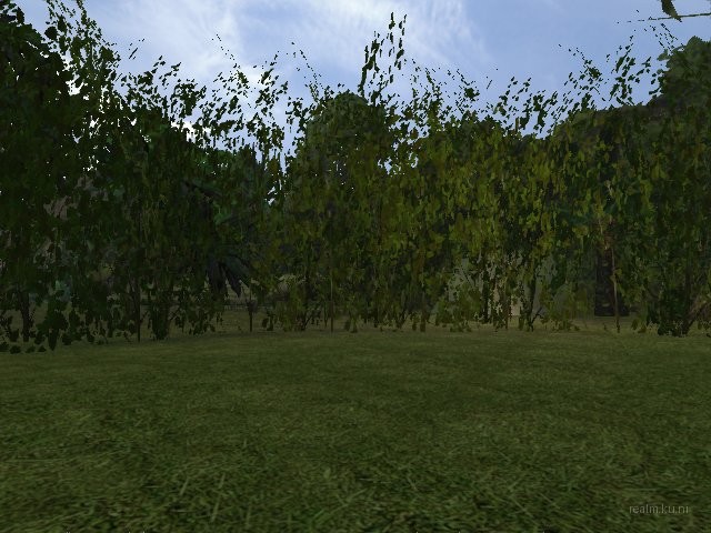 dm_tet thumb 12