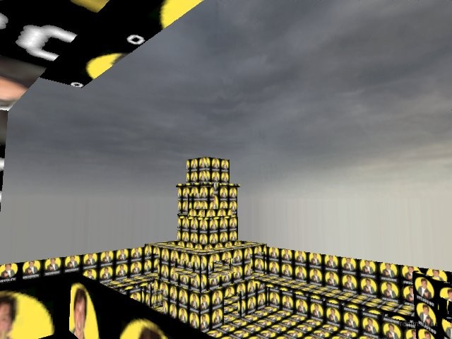 dm_the_yard thumb 13