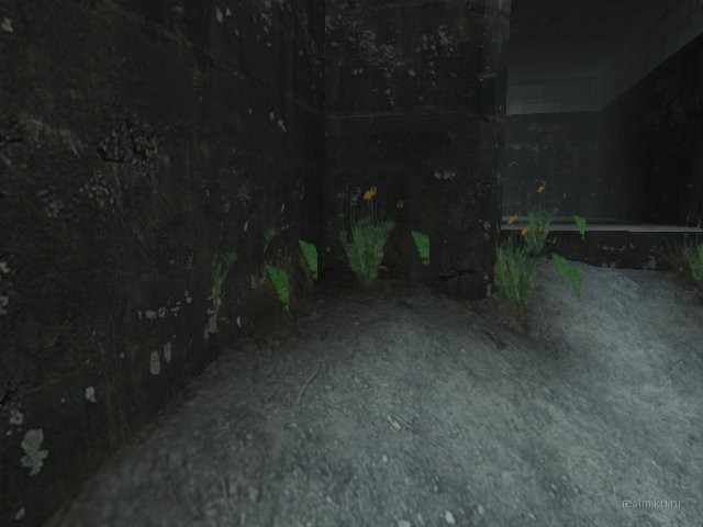 dm_torrent thumb 11