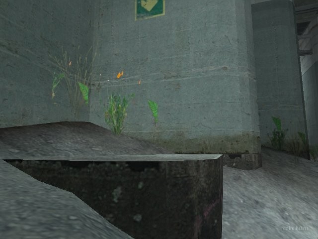 dm_torrent thumb 25