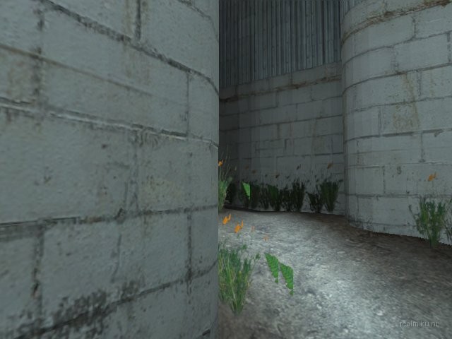 dm_torrent thumb 15