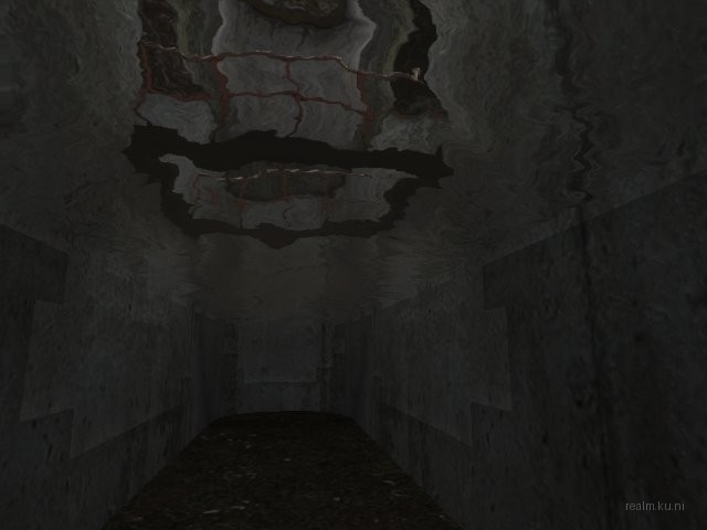 dm_transism thumb 3