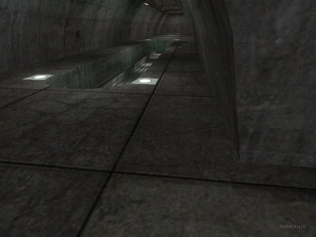 dm_transism thumb 4