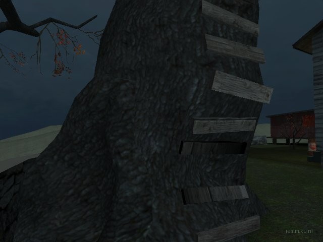 dm_vulture_ctm thumb 8