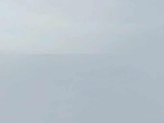 dm_homage_ld_beta thumb 35