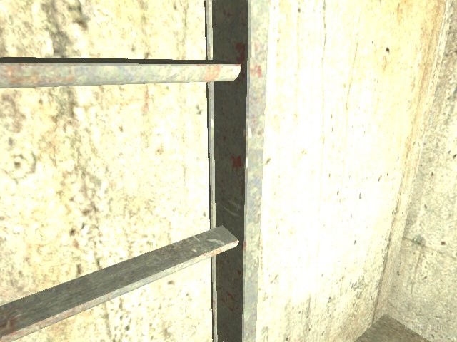 dm_bk_noncitizen_b3 thumb 7