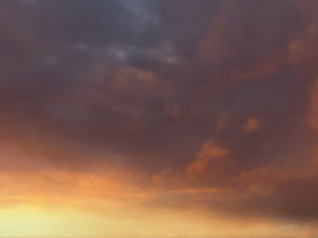 dm_beacon thumb 6