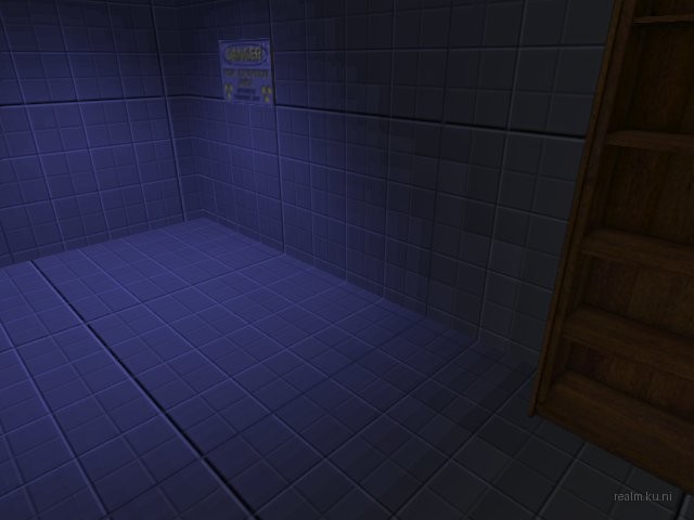 dm_bathroomcrazy_remakeext6 thumb 17