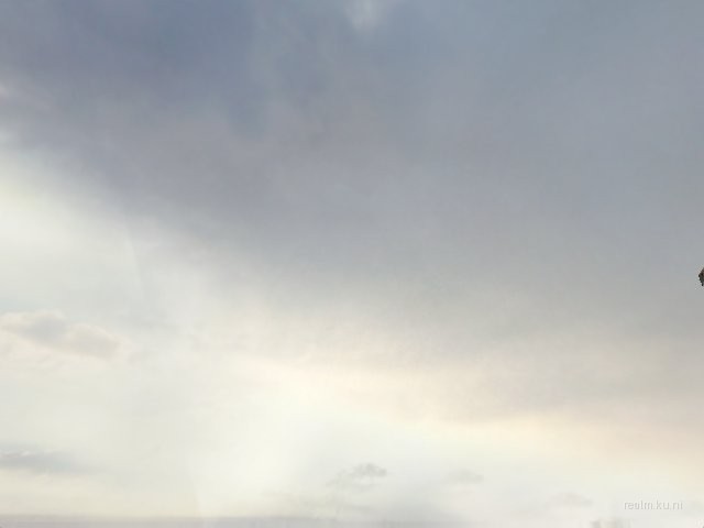 dm_canyonoasis_b2 thumb 6