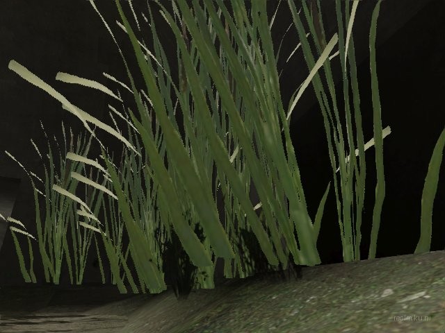 dm_1on1_arborea-fixed_pp thumb 11