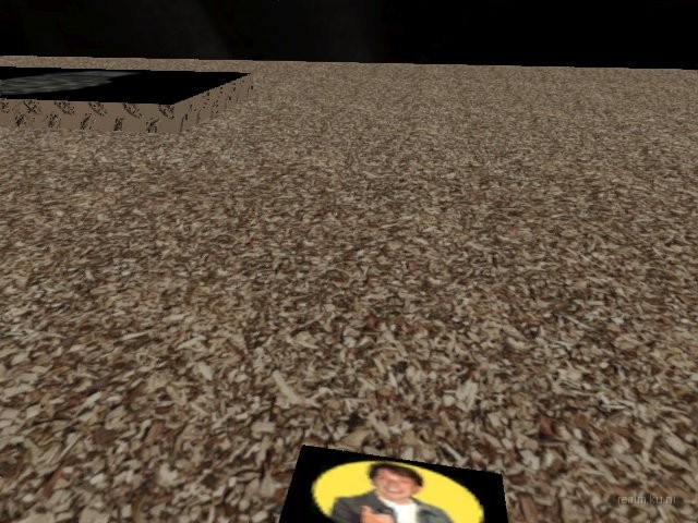dm_357_fiesta thumb 23