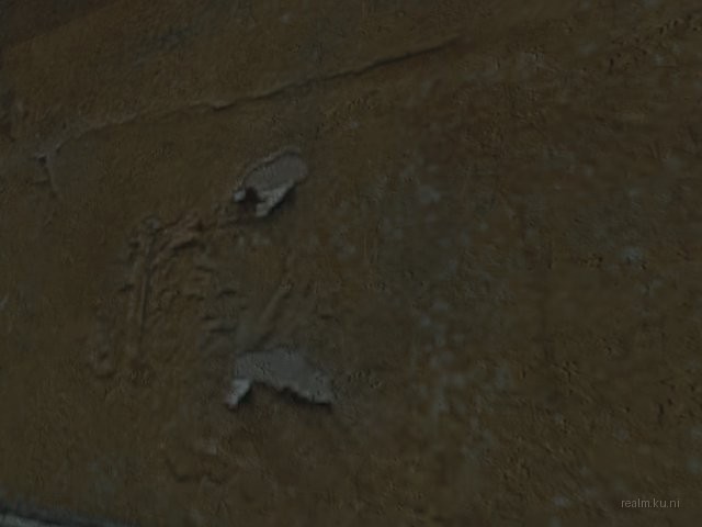 dm_adaptation thumb 8