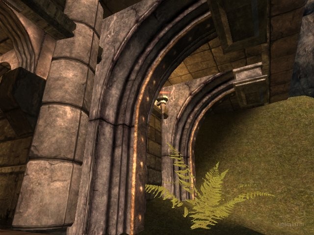 dm_albatross_b02 thumb 24