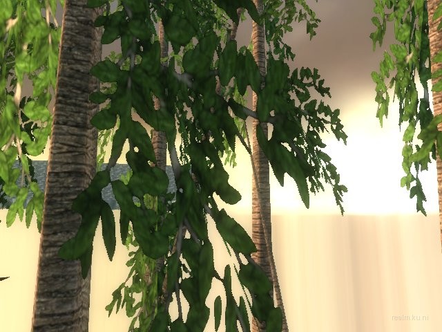 dm_albatross_b02 thumb 23