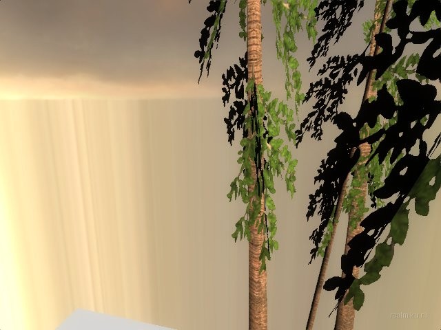 dm_albatross_b02 thumb 14