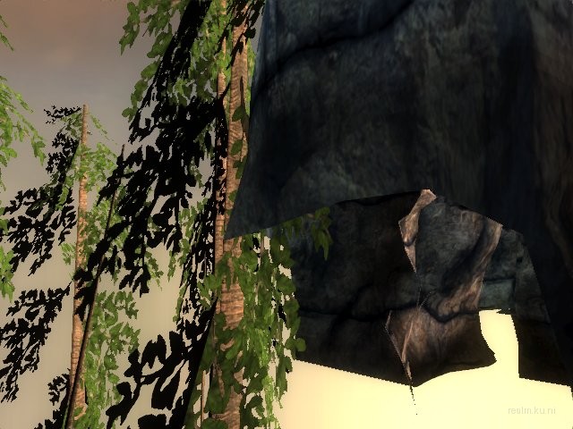 dm_albatross_b02 thumb 13