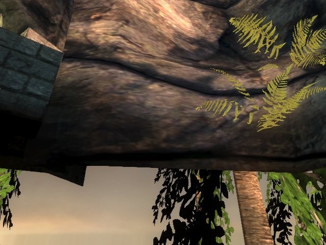 dm_albatross_b02 thumb 20