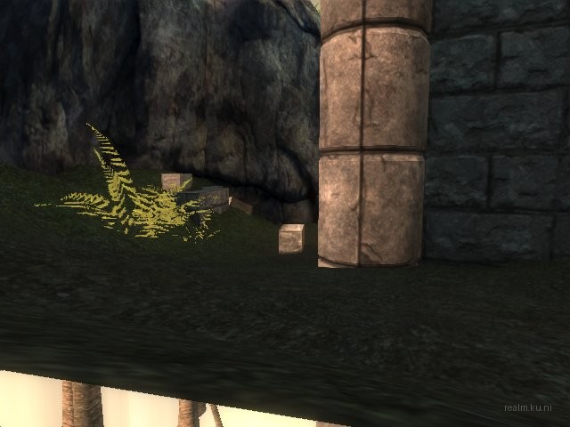 dm_albatross_b02 thumb 18