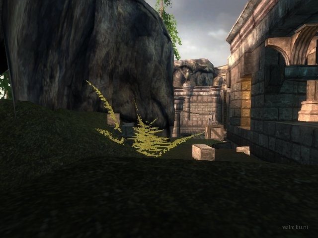 dm_albatross_b03 thumb 16