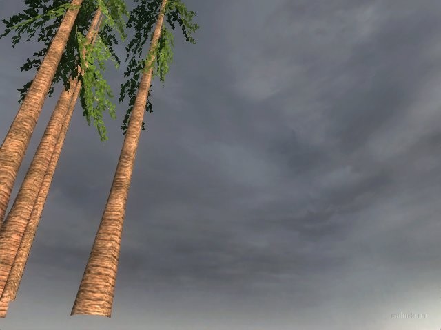 dm_albatross_b03 thumb 8