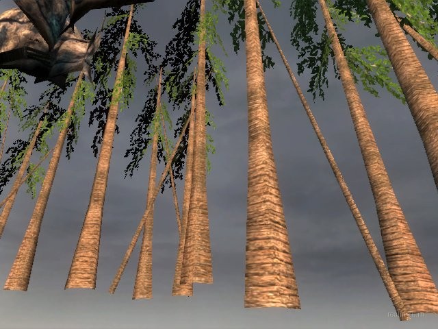 dm_albatross_b03 thumb 11