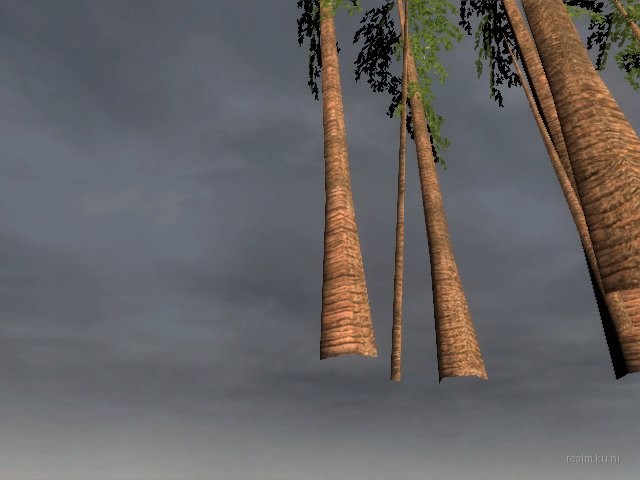 dm_albatross_b03 thumb 9