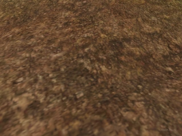 dm_albatross_b03 thumb 4