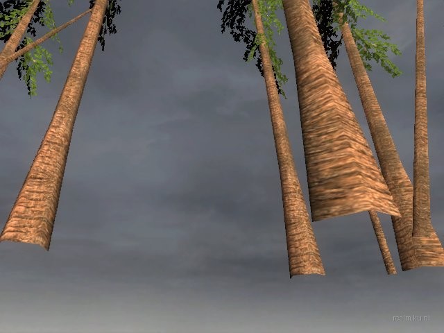 dm_albatross_b03 thumb 14