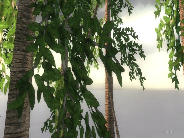 dm_albatross_b03 thumb 20