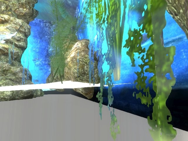 dm_aquarium_v4f thumb 10