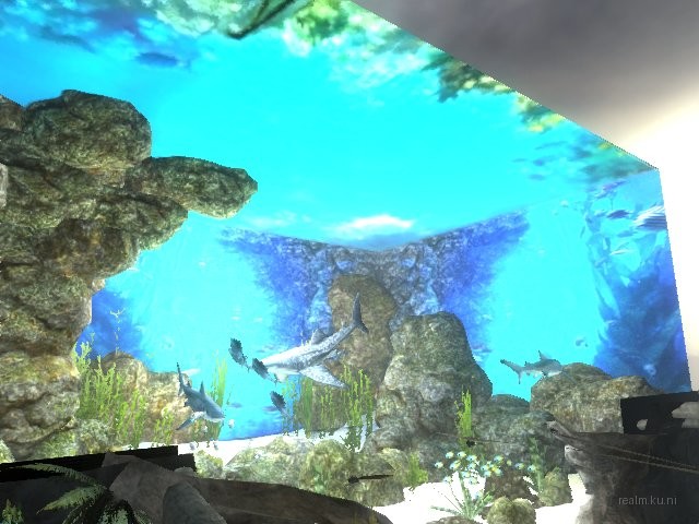dm_aquarium_v4f thumb 48