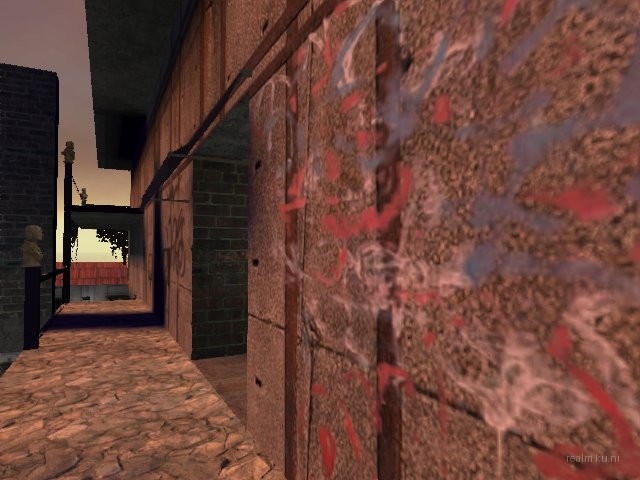 dm_astera thumb 30