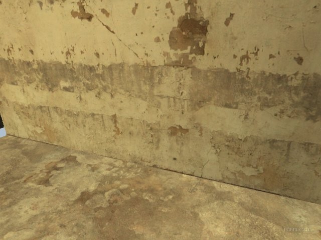 dm_asylum_b5 thumb 55