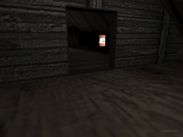 dm_attic_final_t2 thumb 11