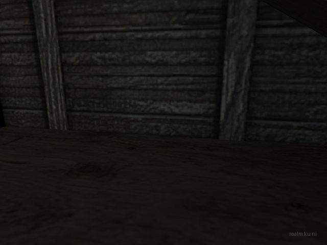 dm_attic_final_t2 thumb 19