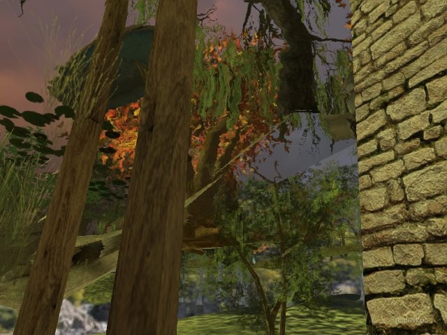 dm_background_mill thumb 5