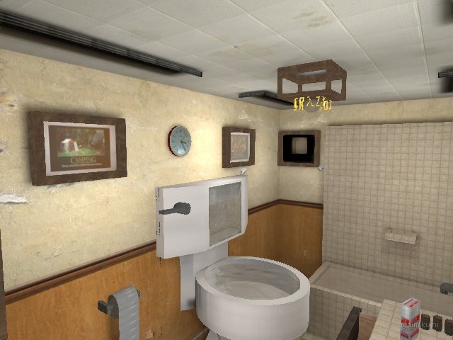 dm_bathroom_crazy2[1] thumb 8