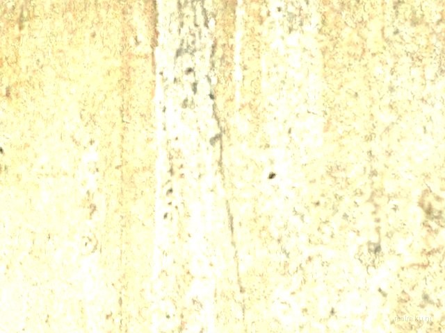 dm_bk_noncitizen_b2 thumb 22