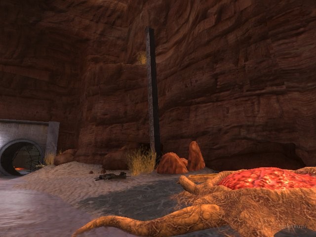 dm_bounce_spv2 thumb 41