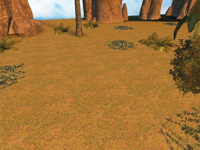 dm_camp_operations_sw thumb 28