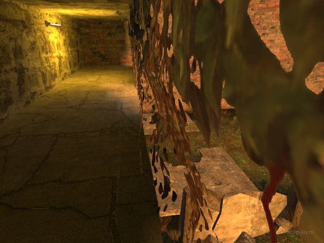 dm_carswamp thumb 10