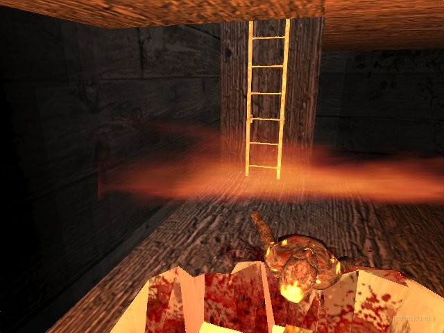 dm_cellrats thumb 10