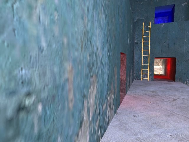 dm_cellrats thumb 74