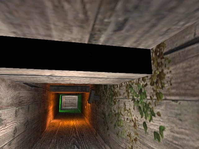 dm_cellrats thumb 41