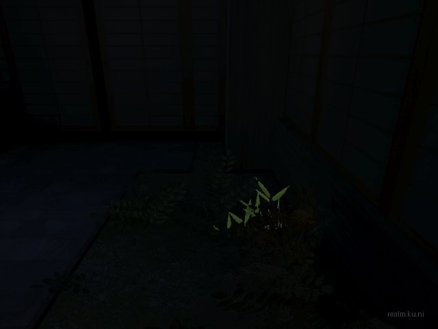 dm_katsura_night thumb 70