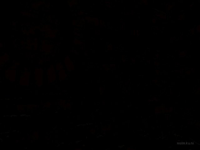 dm_op4_port_crate thumb 31