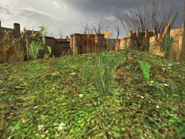 dm_quadrangle_final thumb 22